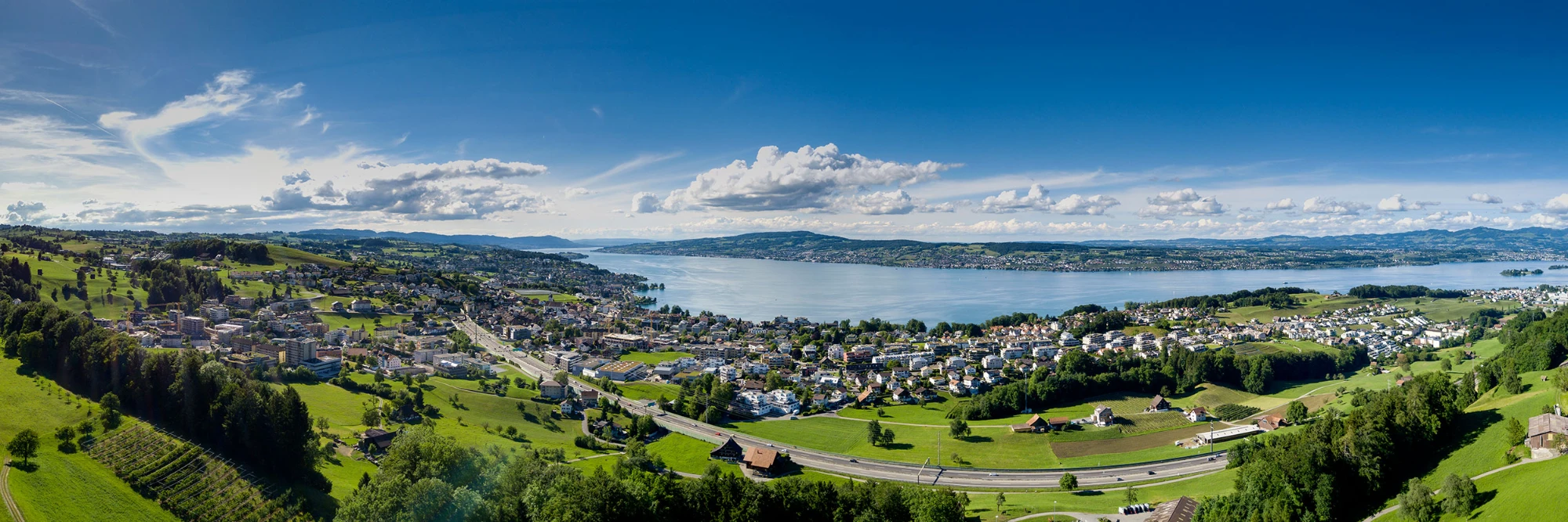 View over Lake Zurich from Feusisberg, home of ProActys
