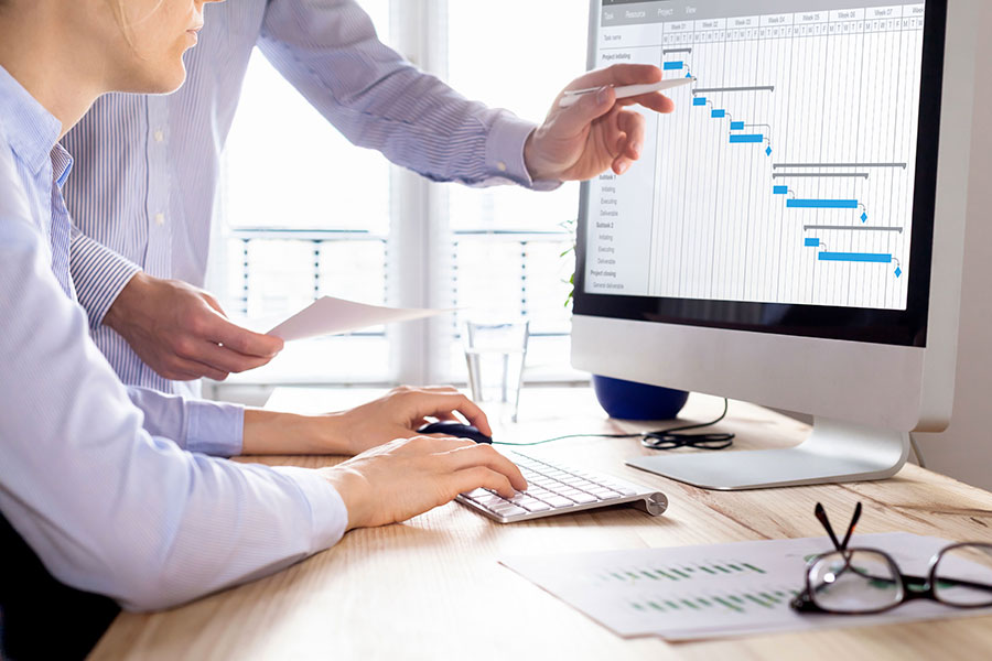 ProActys Business Transformation Project Management